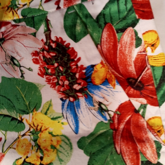 New York & Company Shorts - Picture 3 of 5